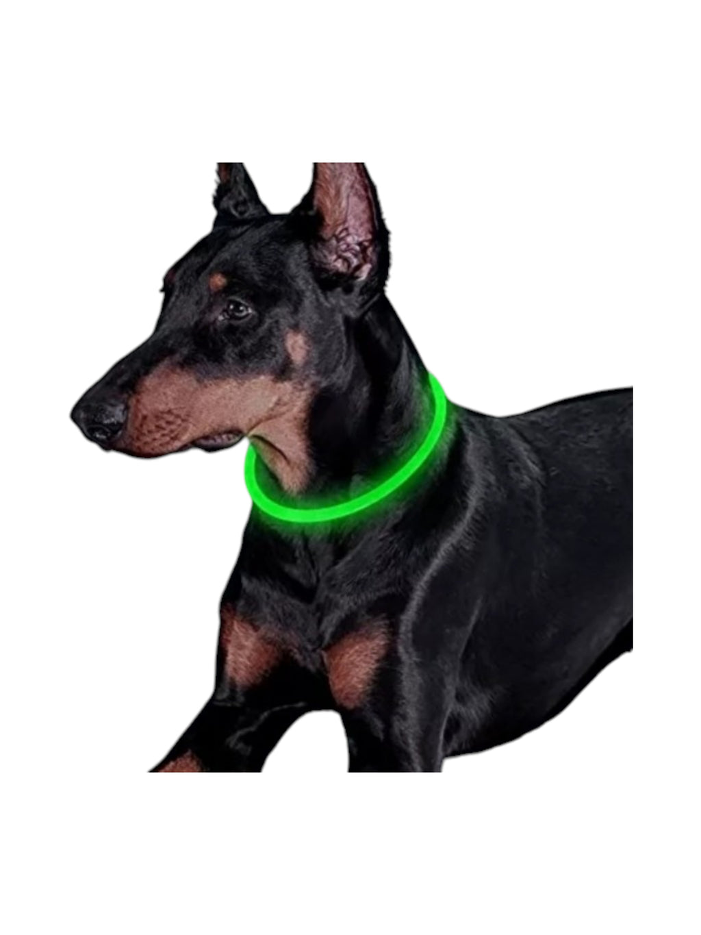 Collar Luminoso de Seguridad para Mascotas Recargable