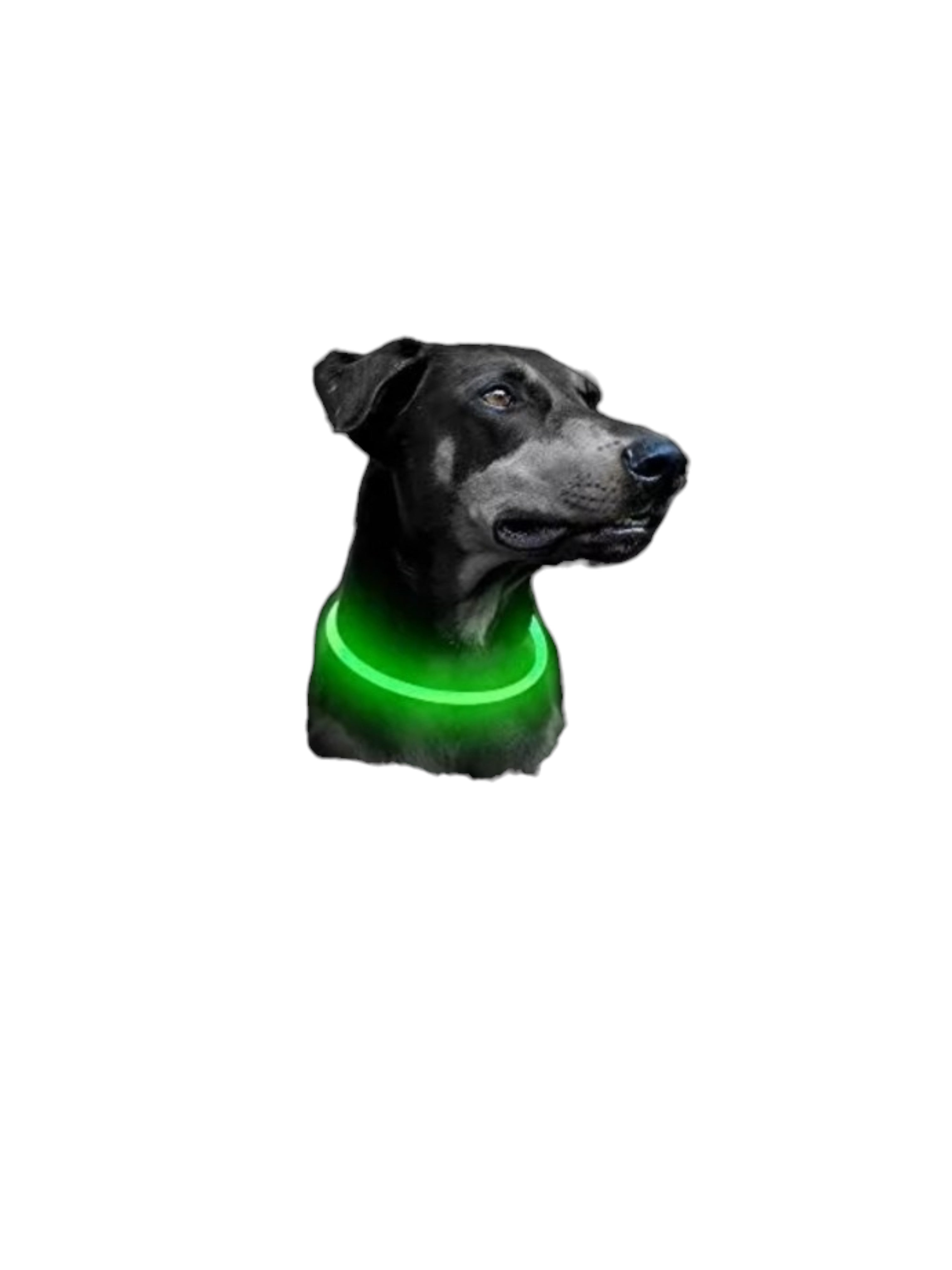 Collar Luminoso de Seguridad para Mascotas Recargable