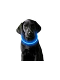 Collar Luminoso de Seguridad para Mascotas Recargable