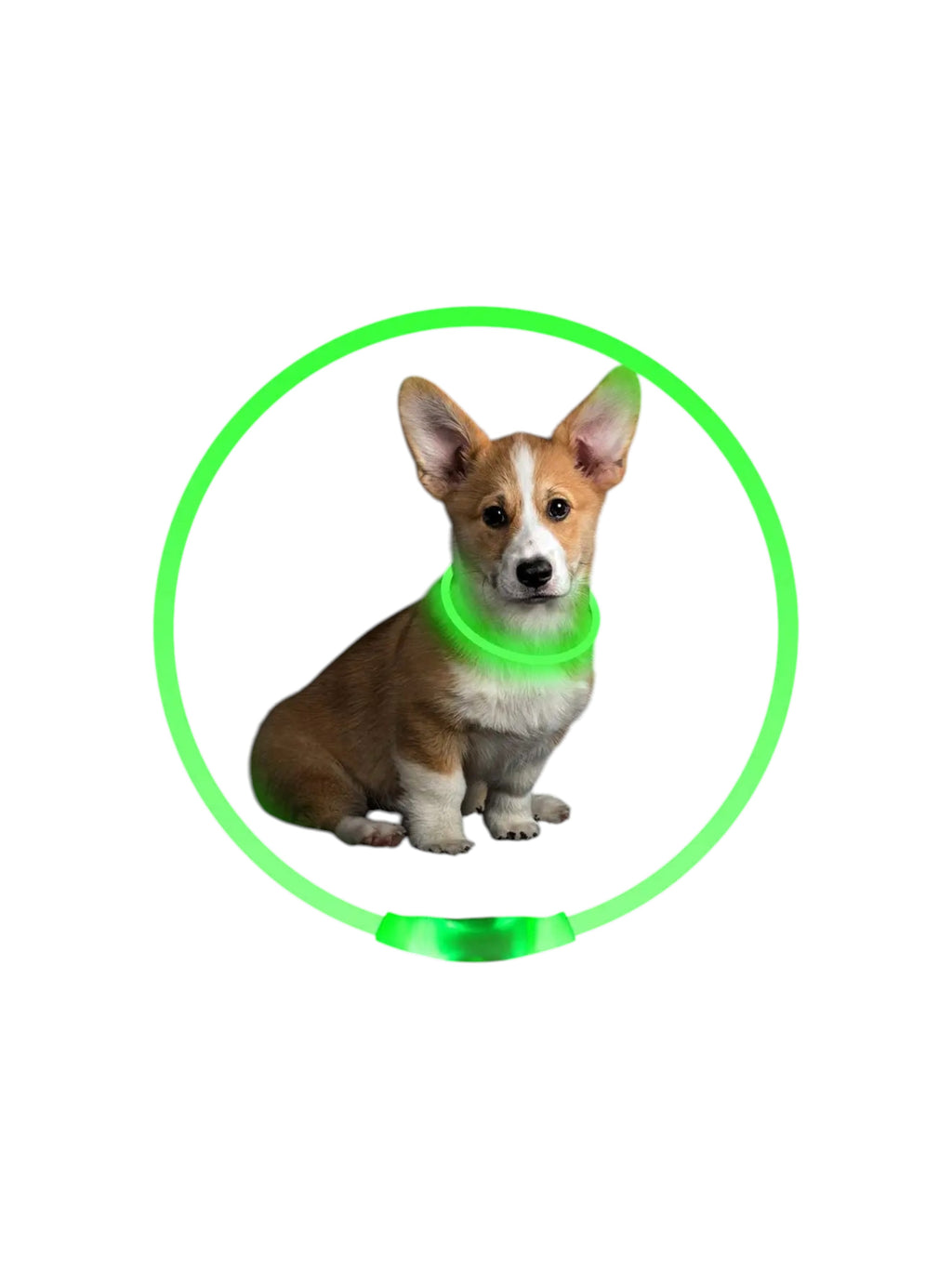 Collar Luminoso de Seguridad para Mascotas Recargable
