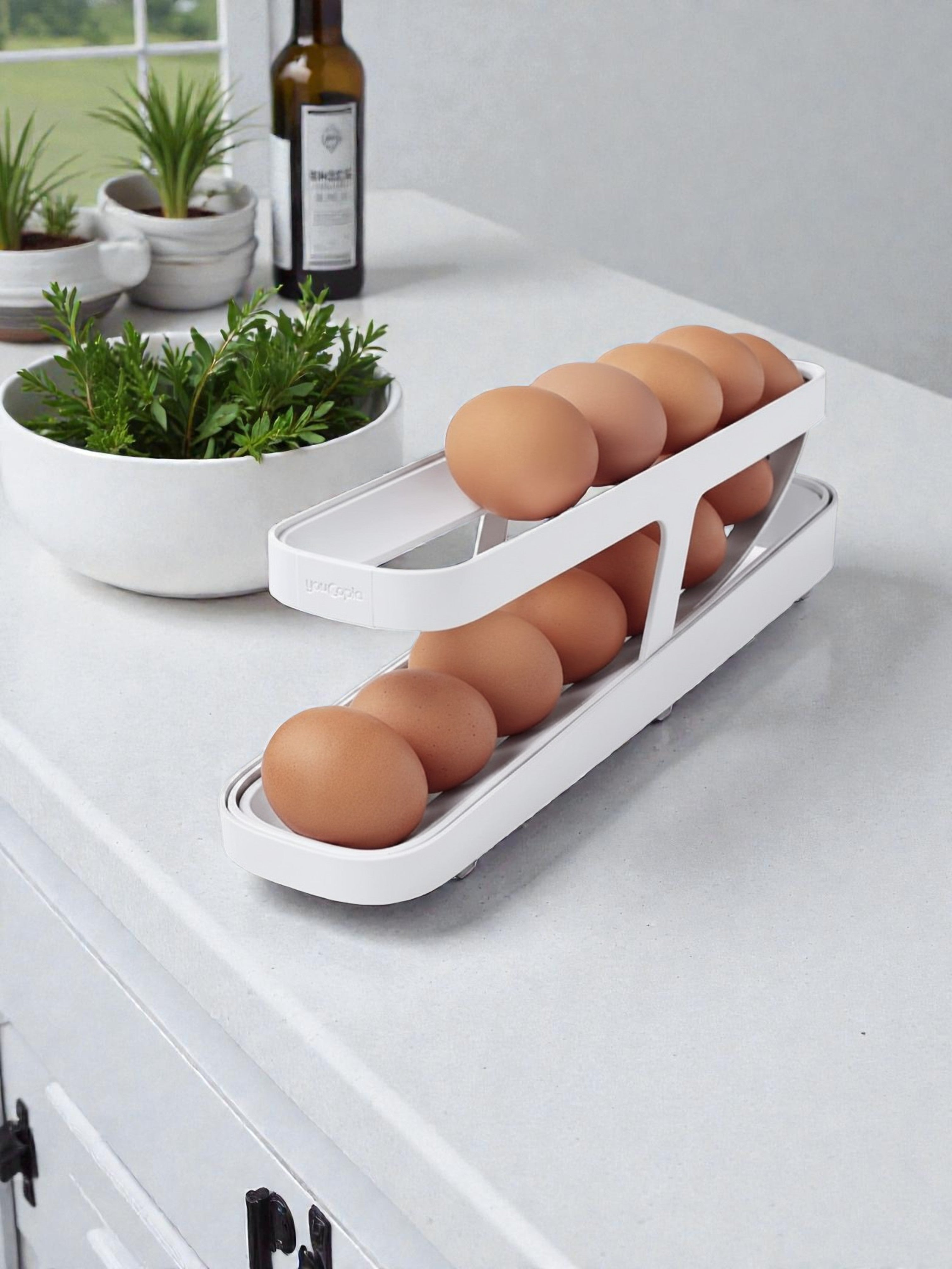 Organizador Vertical de Huevos